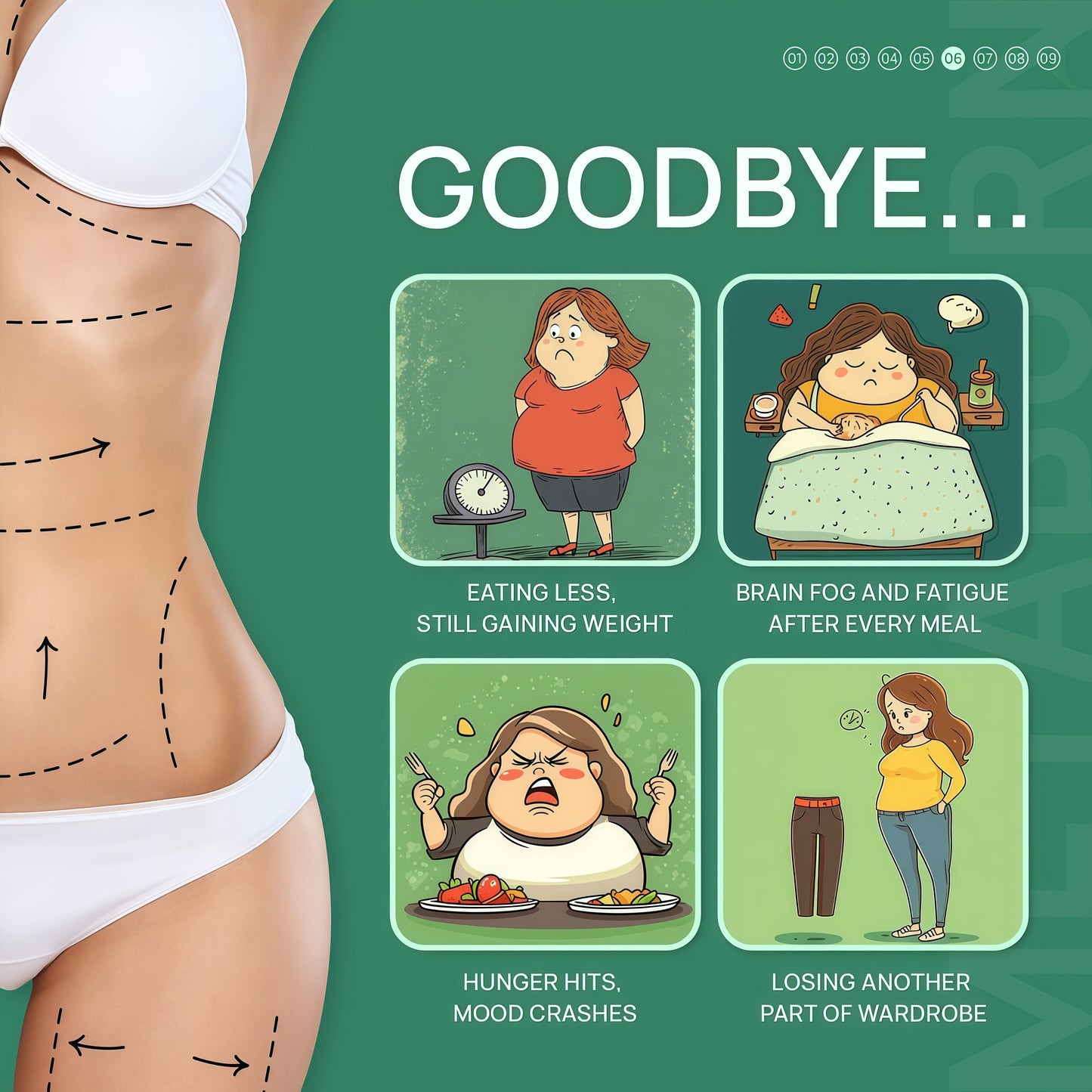 Selerb Berberine + Green Tea + B12 Complex - Gentle Plant-Based Formula with Chromium - 60 Capsules