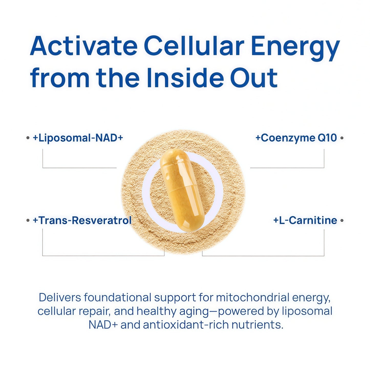 Selerb NAD+ Supplements for Men – Nitric Oxide Prostate Health Supplements for Men with Resveratrol, CoQ10, L Citrulline and Lycopene for Anti-Aging, Stamina & Cellular Energy Support 60 Capsules